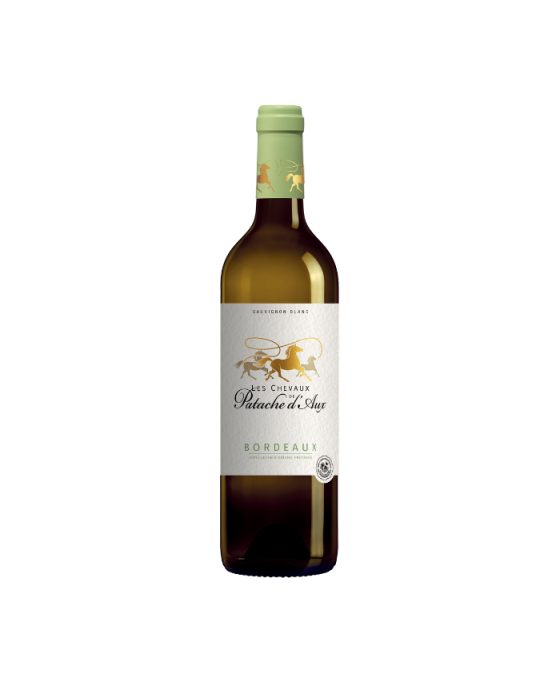 Chevaux de Patache d'Aux Blanc 2024
