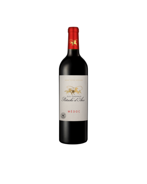 Château Patache d'Aux - Les Chevaux de Patache D'Aux - 2022