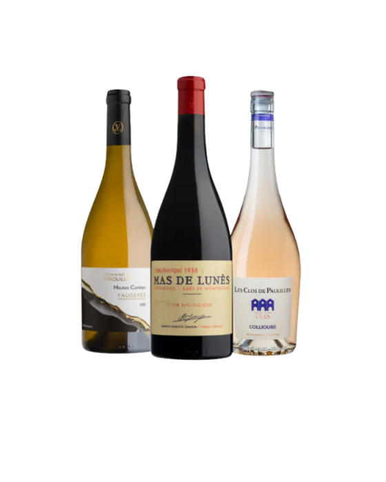 Panaché Découverte du Languedoc