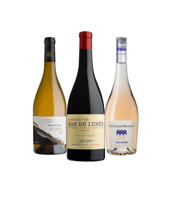 Panaché Découverte du Languedoc