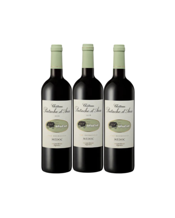 Verticale Château Patache d'Aux