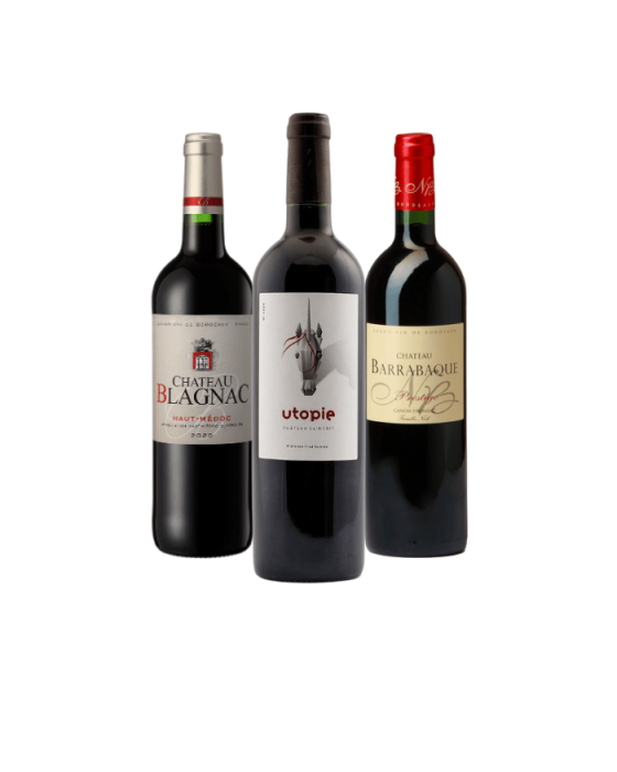 Panaché Premium de Bordeaux