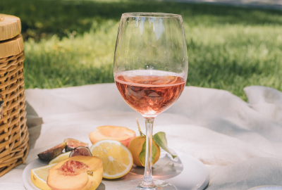 Respect de l'environnement : quand le vin se fait durable